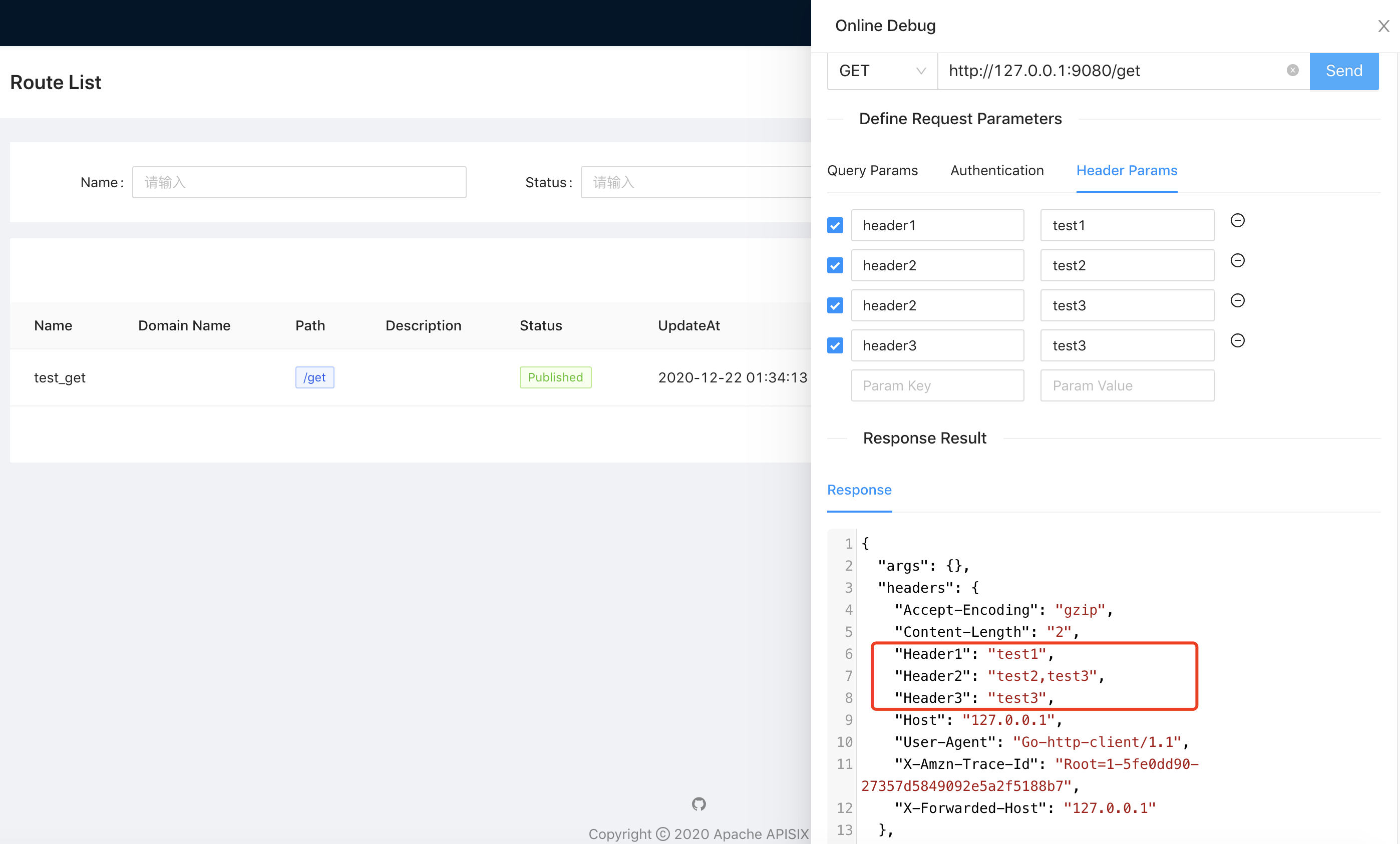 route-debug-header-params