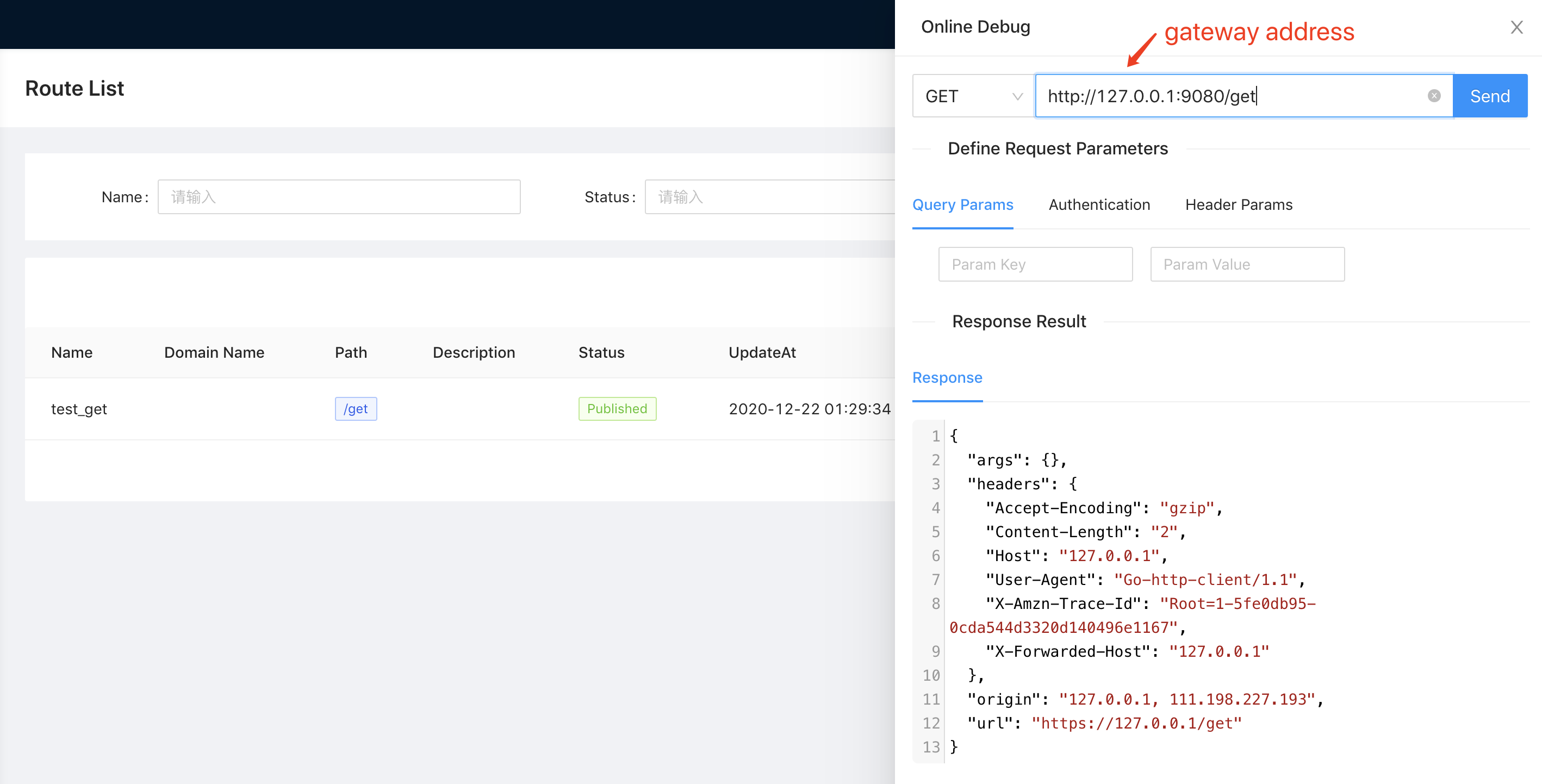 route-debug-published