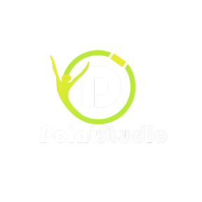 D' Point Studio Logo