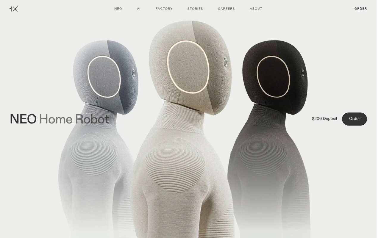 1X Technologies website screenshot