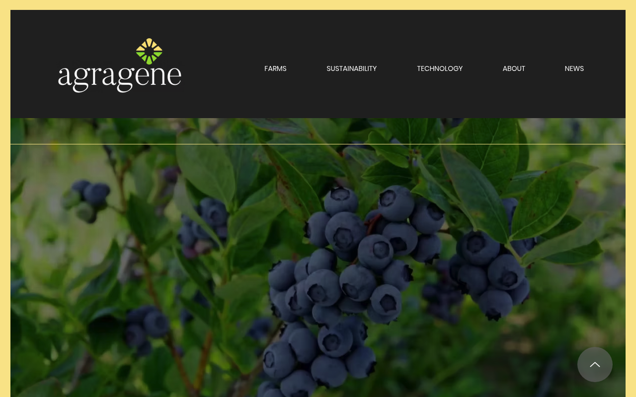 Agragene screenshot