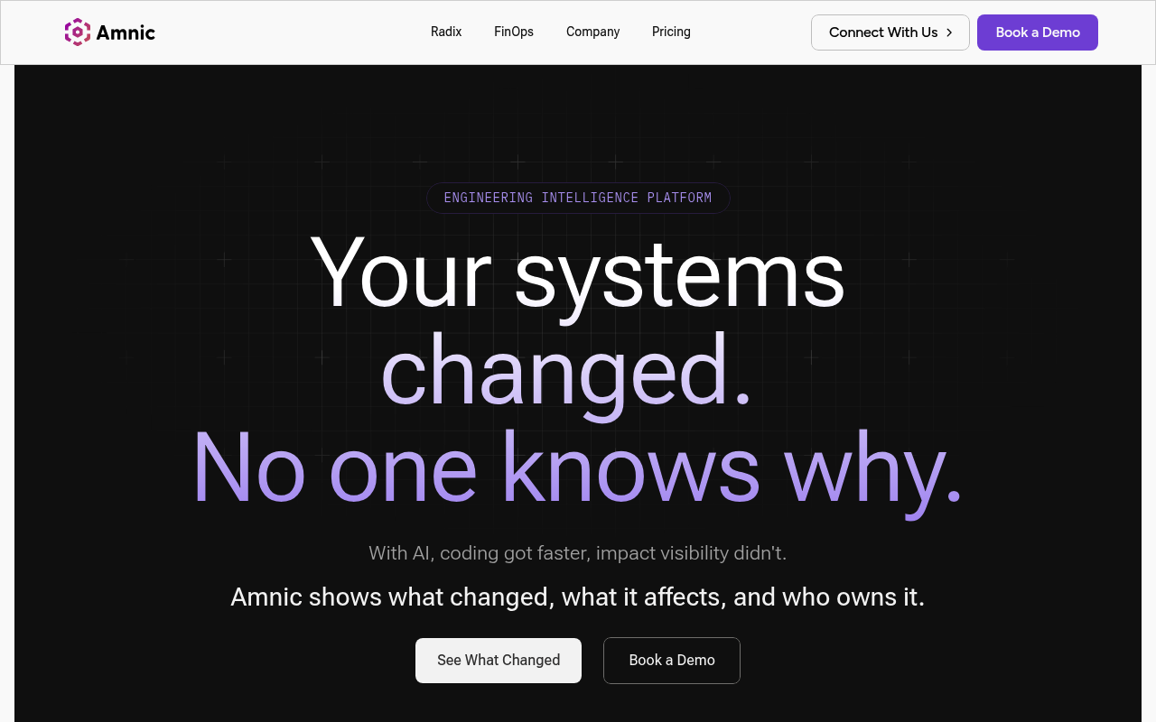 Amnic website screenshot