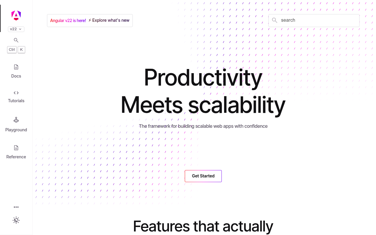 Angular 20 website screenshot