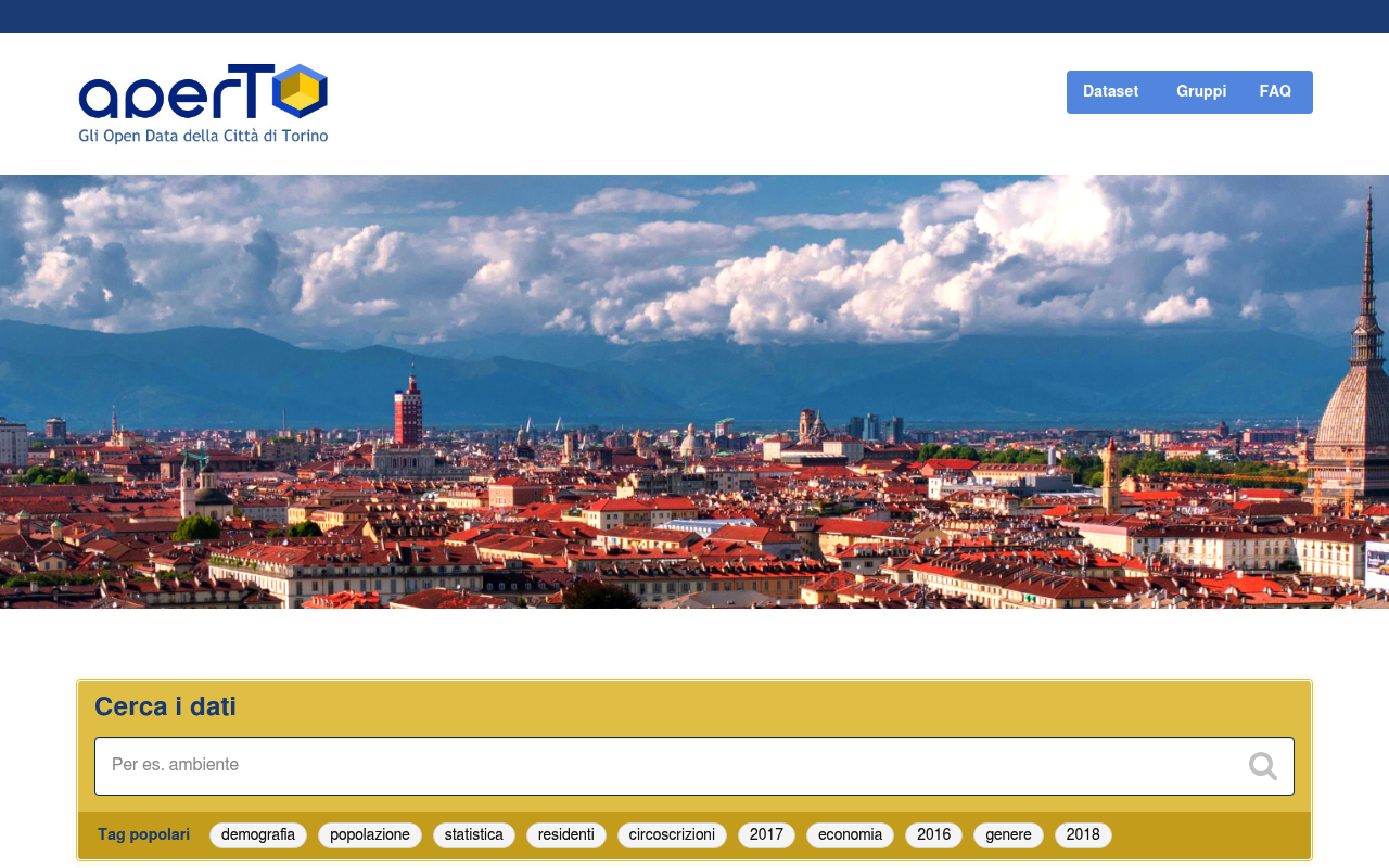 Turin Open Data website screenshot