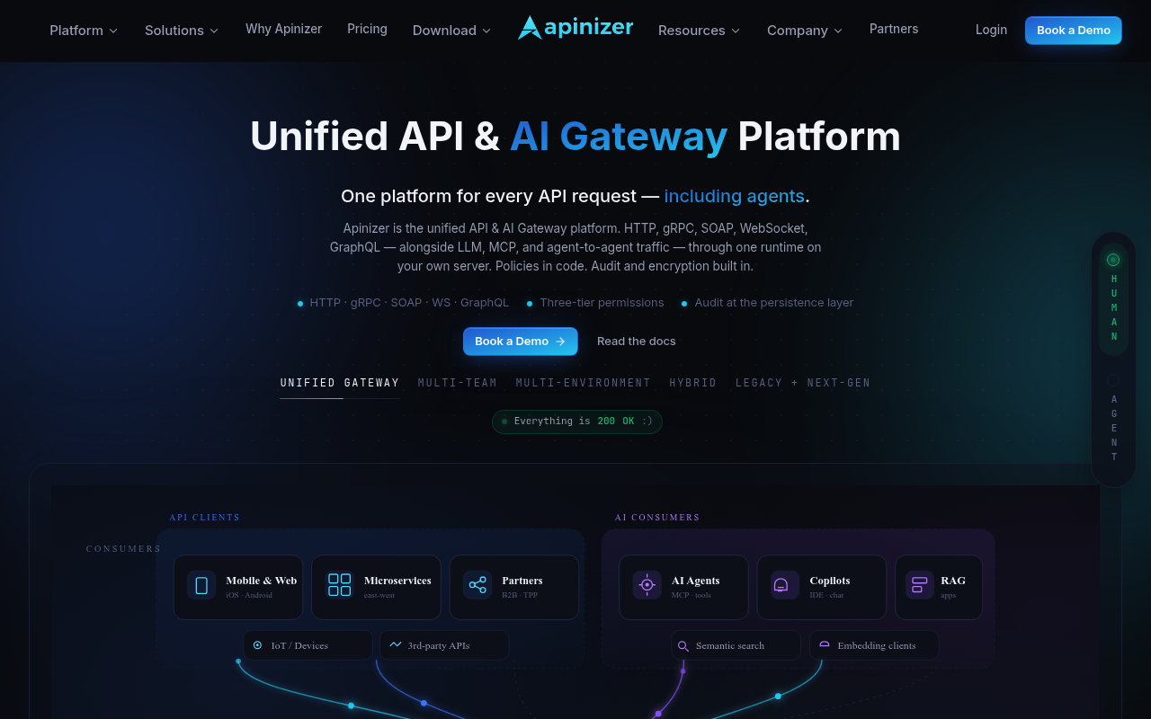 Apinizer website screenshot