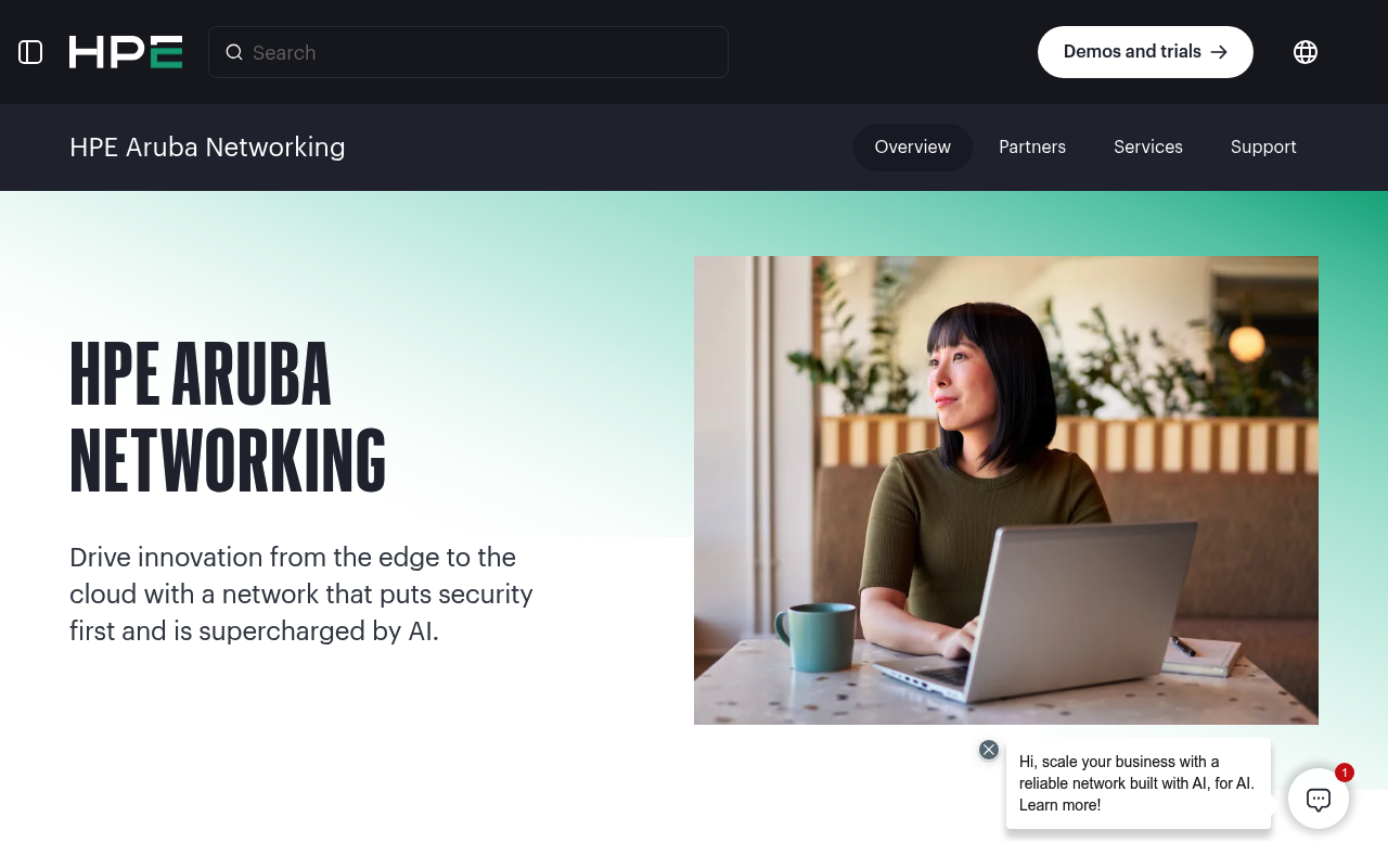 Aruba website screenshot