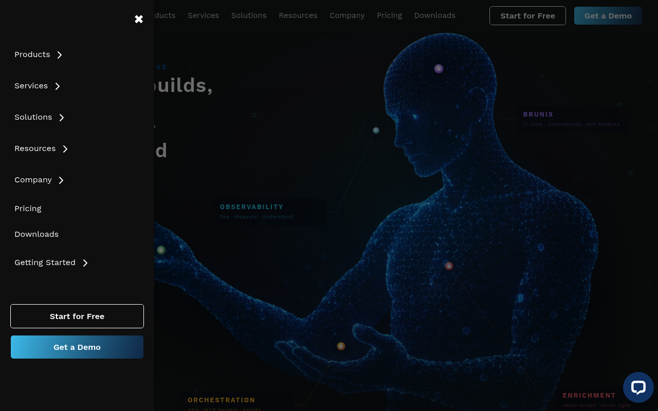 AVAP BRUNIX website screenshot