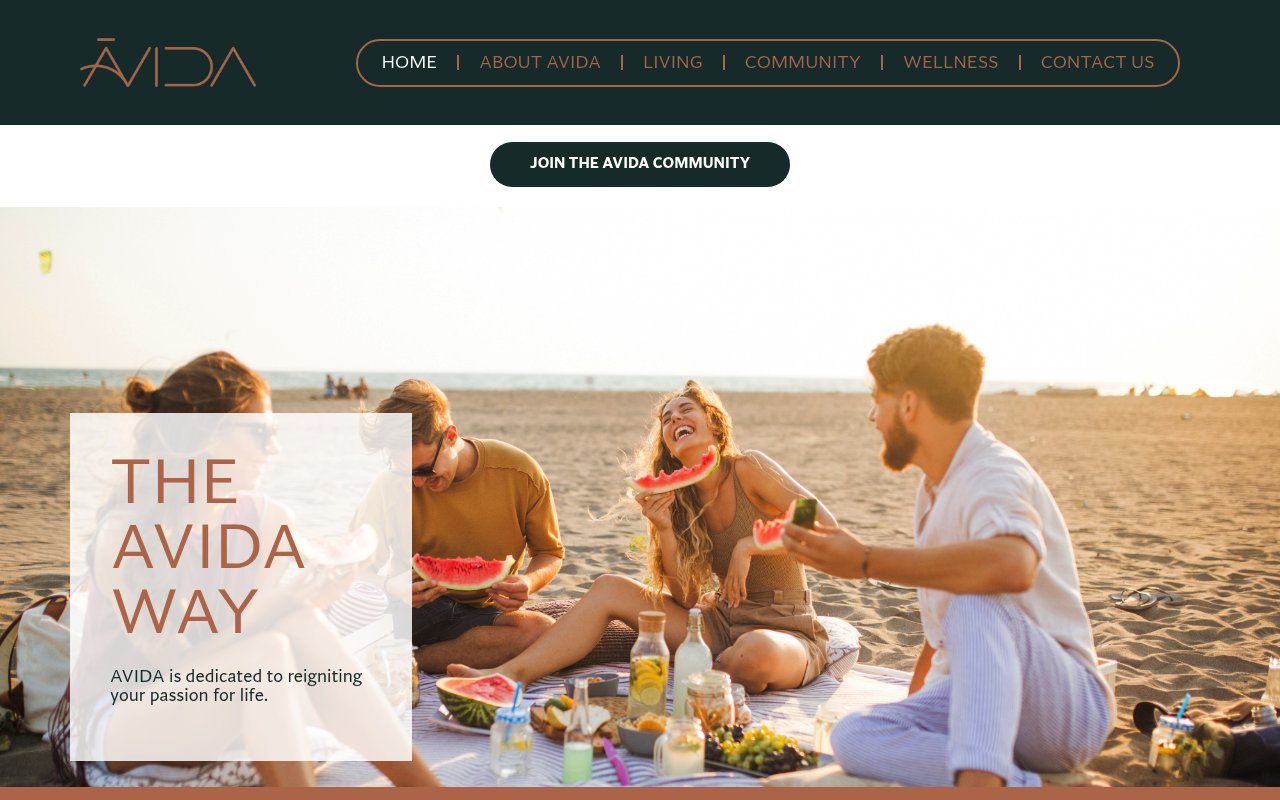 Avida Holding screenshot