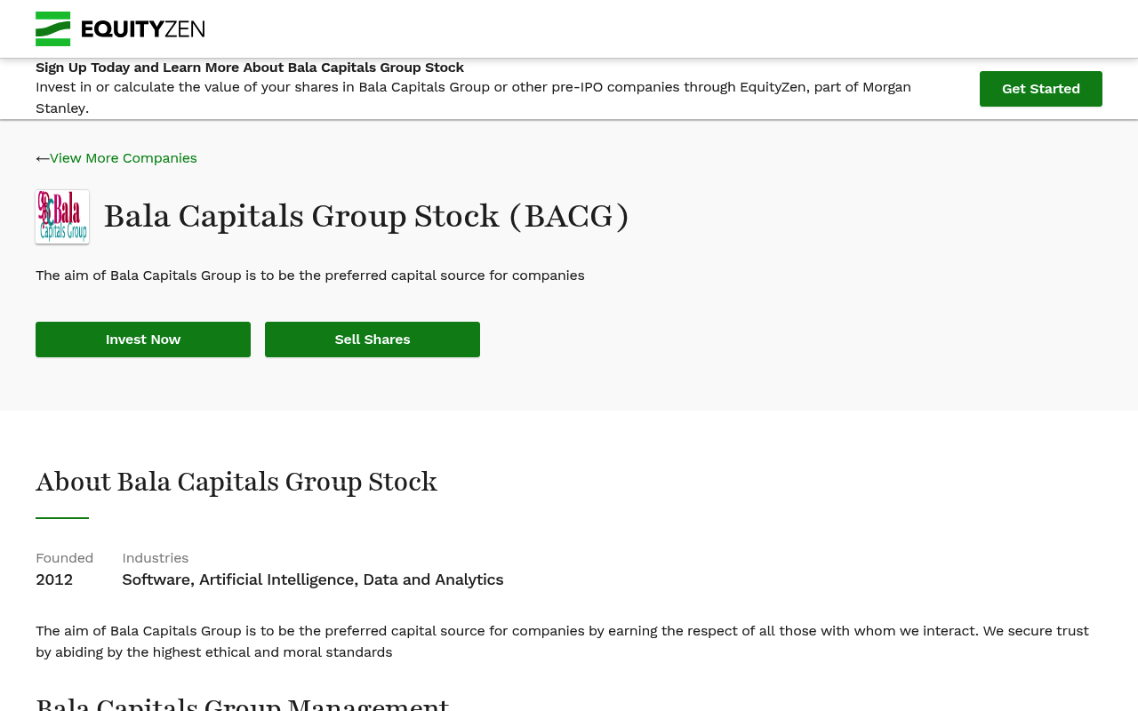 Balacapitalsgroup screenshot