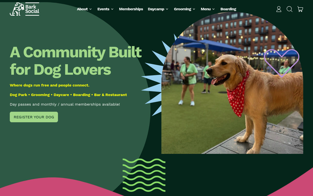 Barksocial screenshot