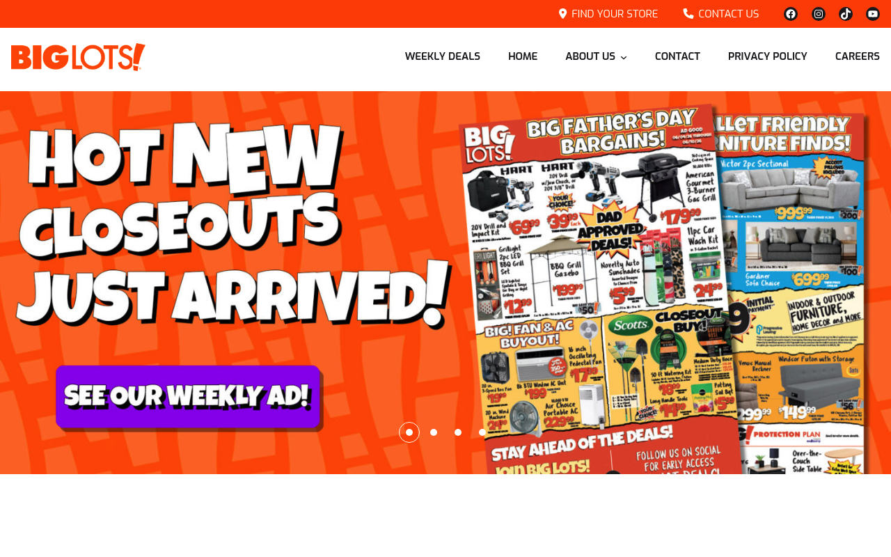 Big Lots screenshot