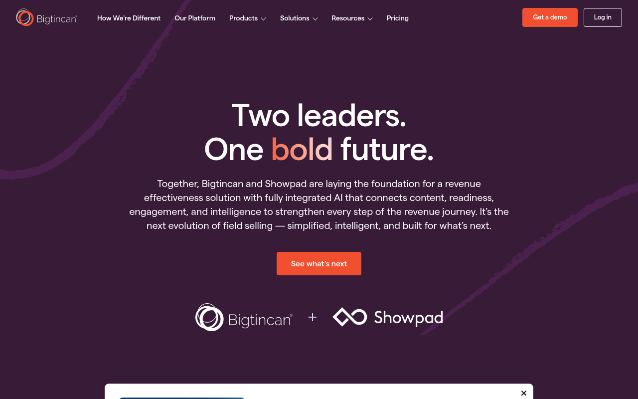 Bigtincan website screenshot