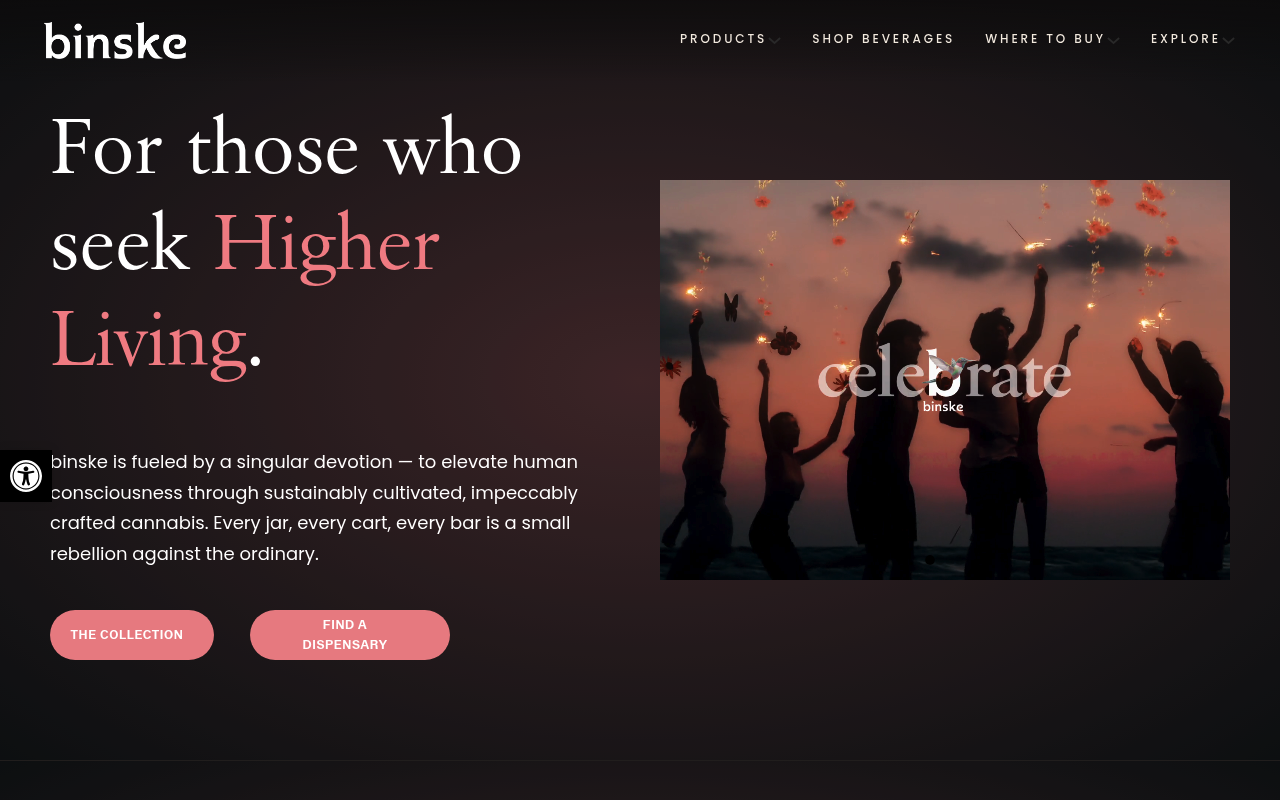 Binske website screenshot