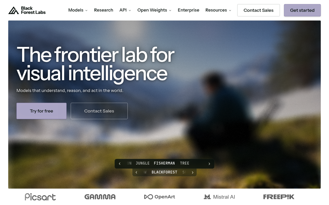 Black Forest Labs website screenshot