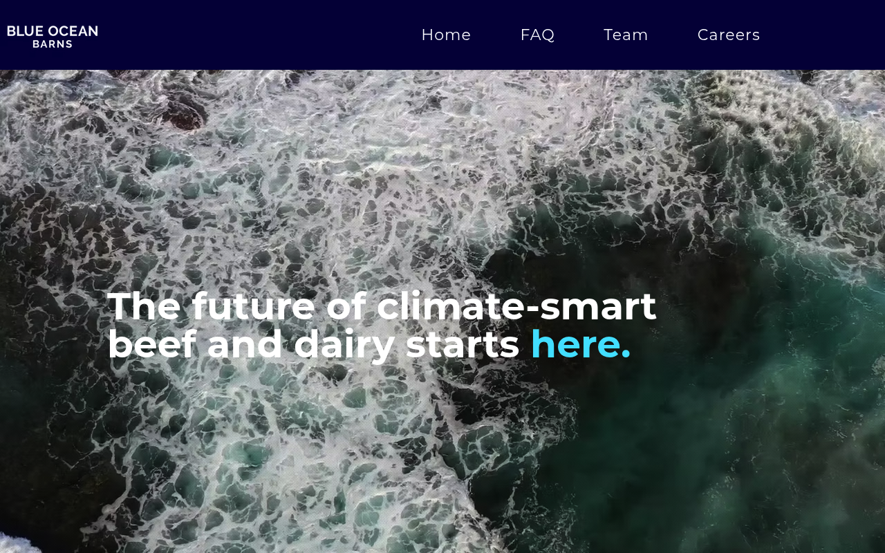 Blue Ocean Barns screenshot