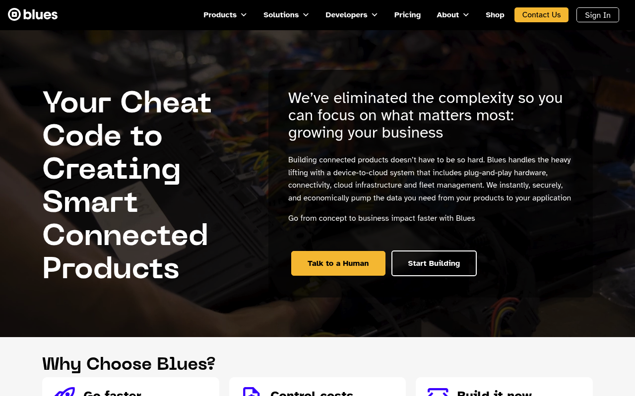 Blues website screenshot