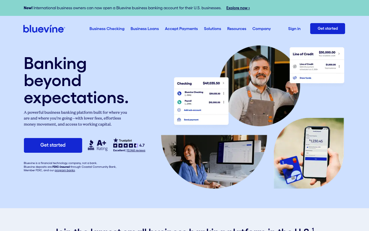 Bluevine screenshot