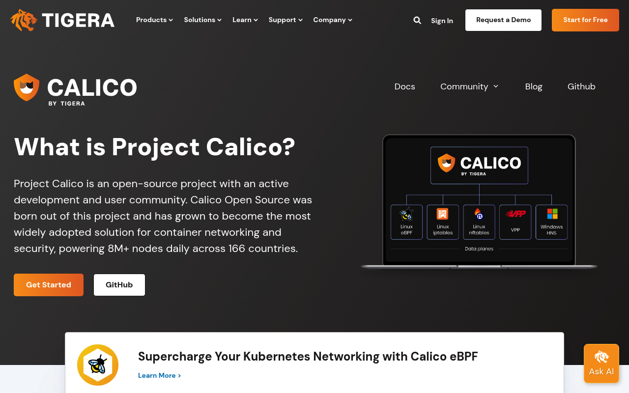 Calico website screenshot