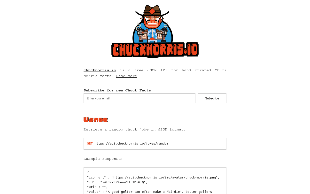 Chuck Norris API website screenshot