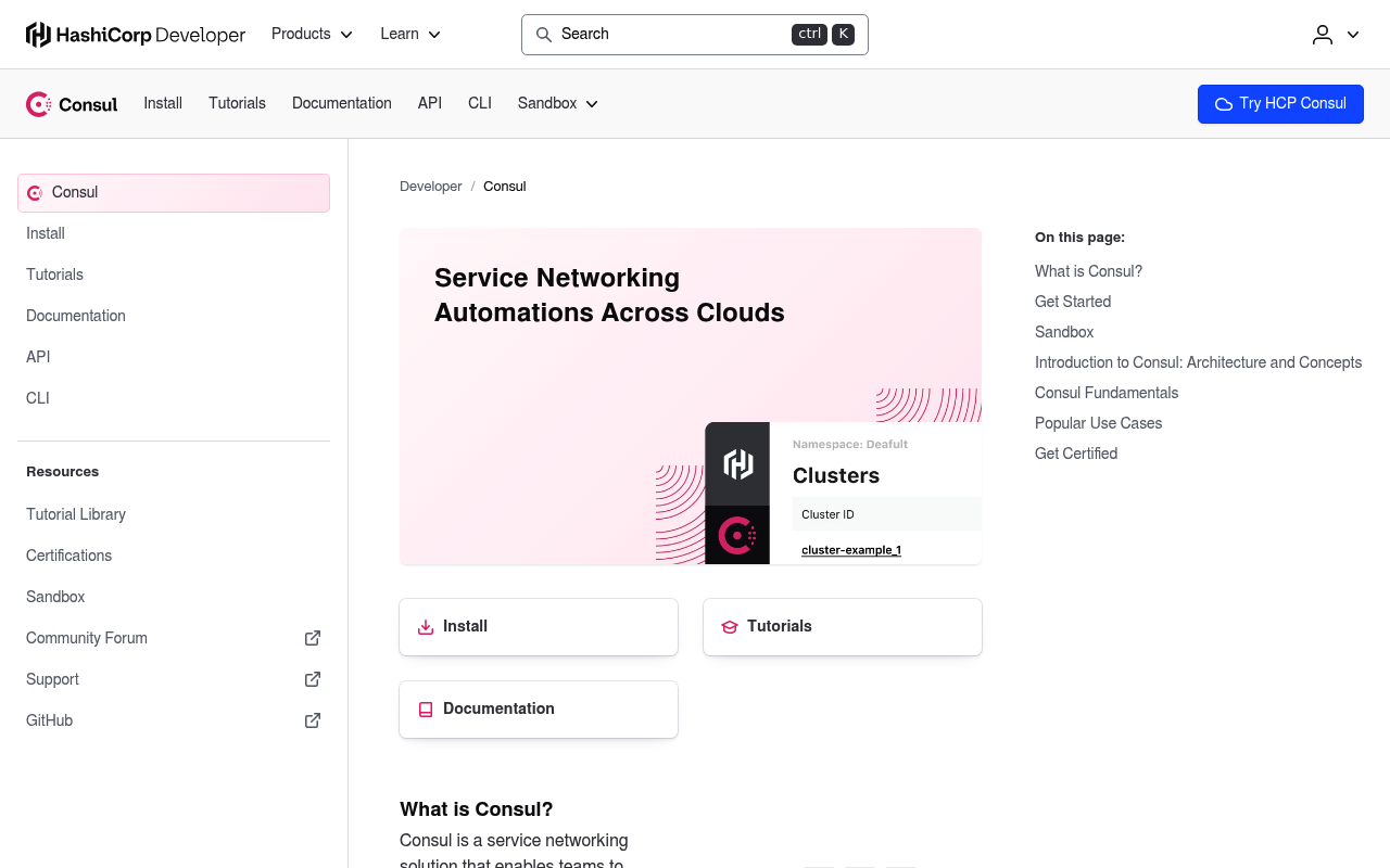 Consul Connect website screenshot
