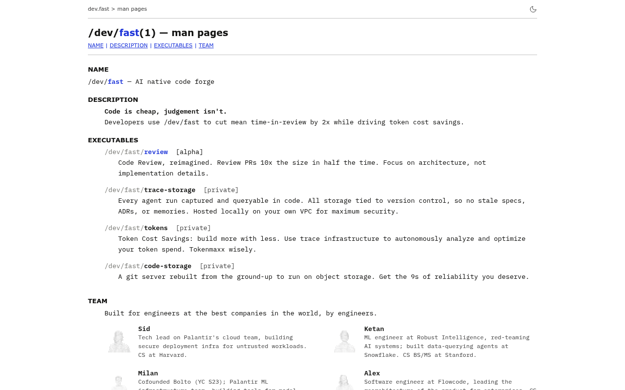 /dev/fast website screenshot