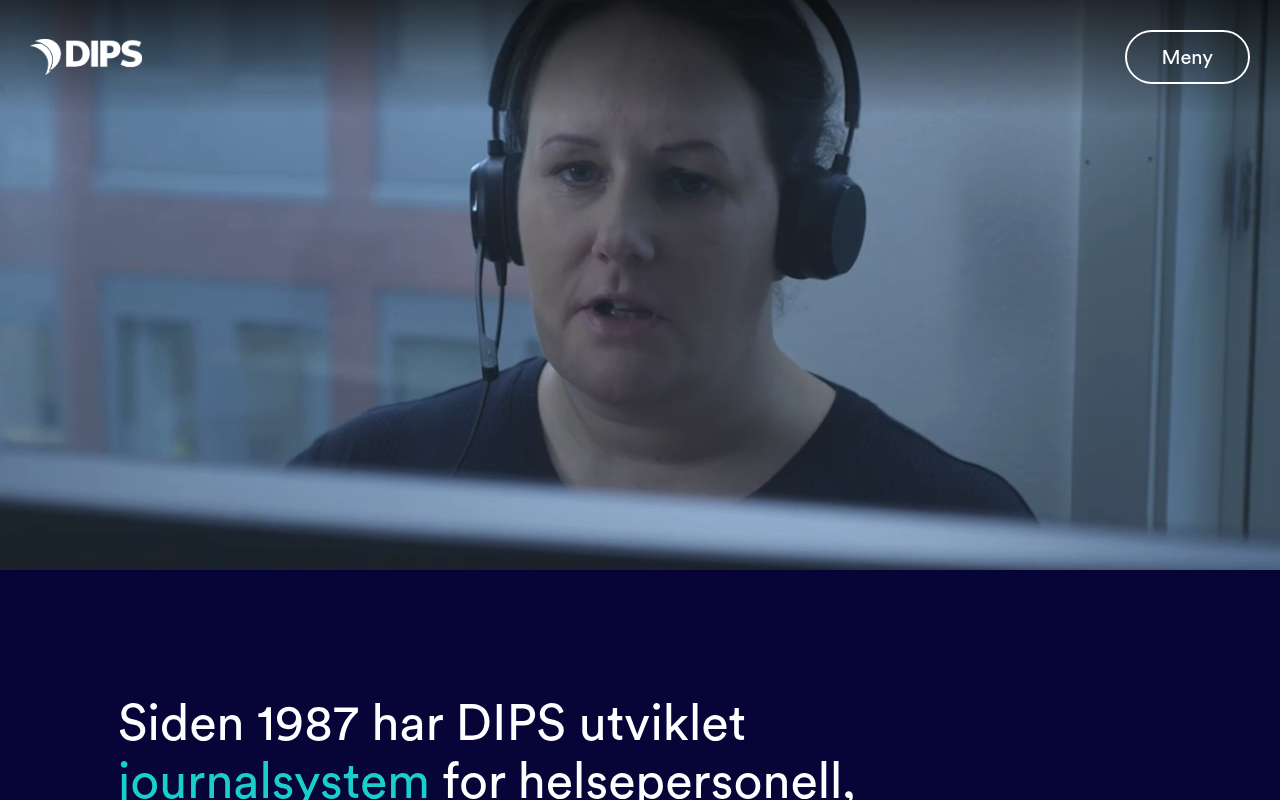 DIPS website screenshot