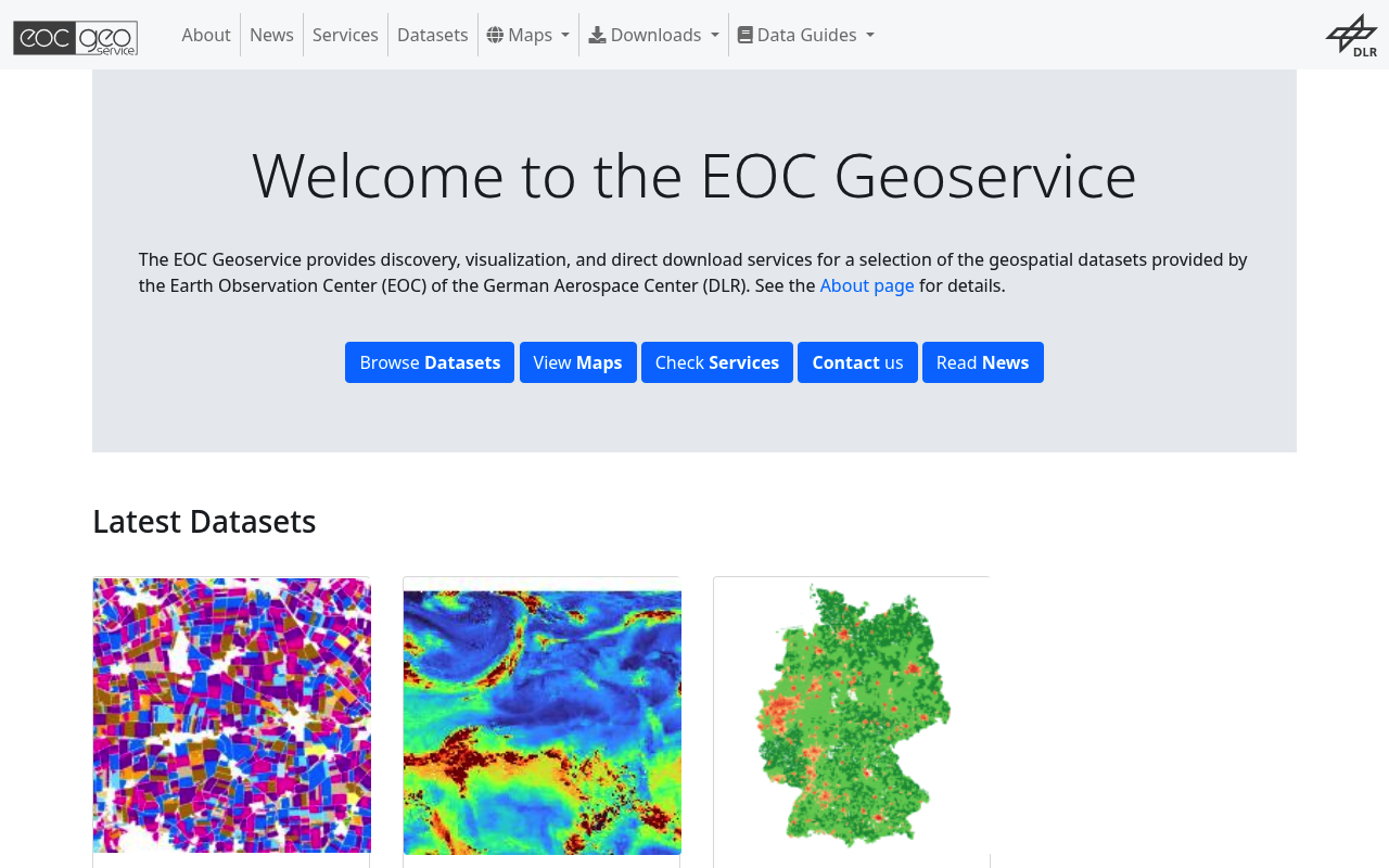 DLR website screenshot