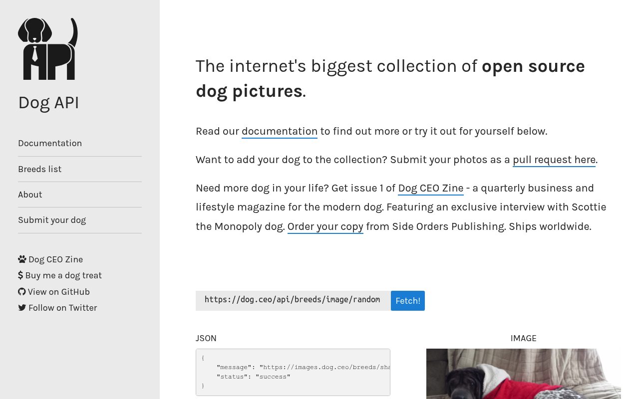 Dog CEO website screenshot
