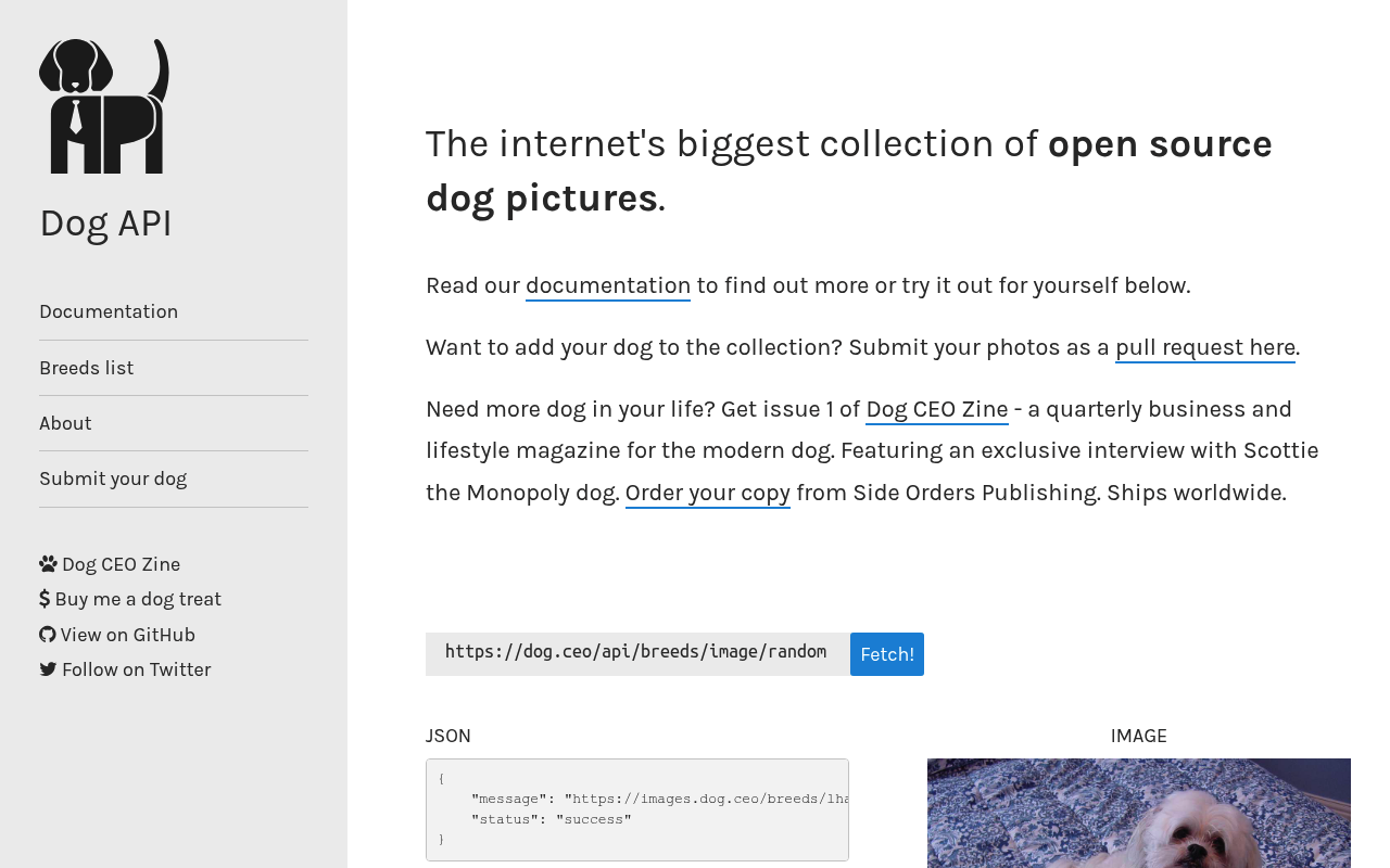 Dogs website screenshot