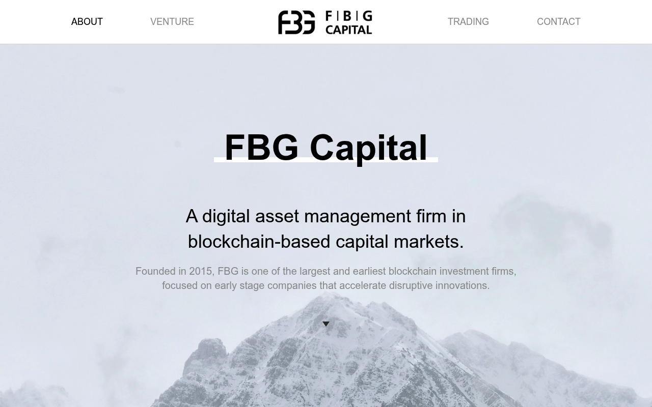 FBG Capital website screenshot