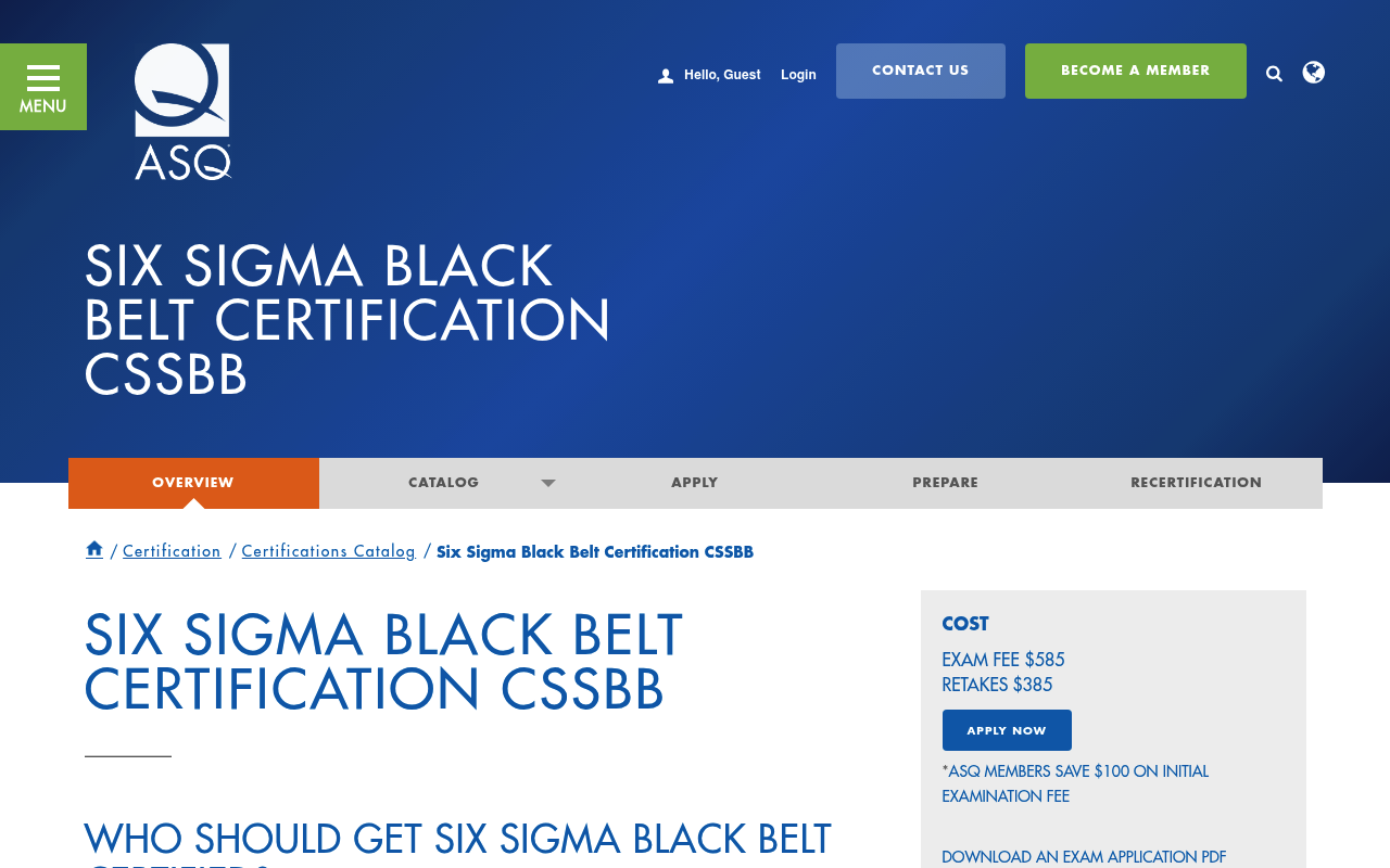 Lean Six Sigma Black Belt screenshot