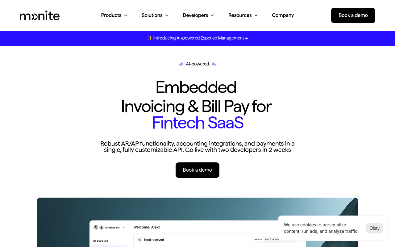 Monite website screenshot