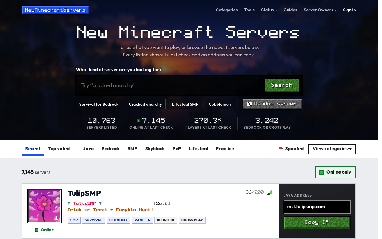 NewMinecraftServers screenshot