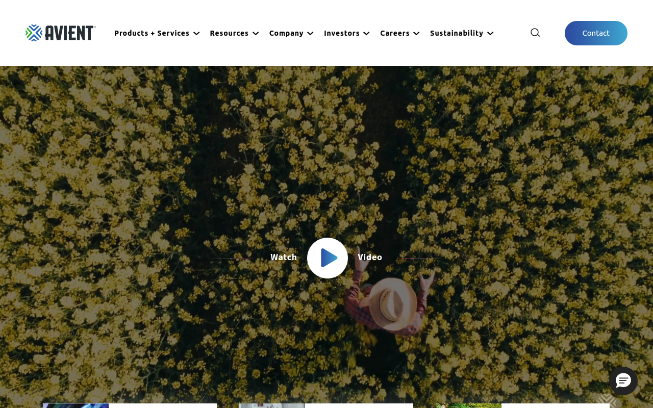 Polyone screenshot
