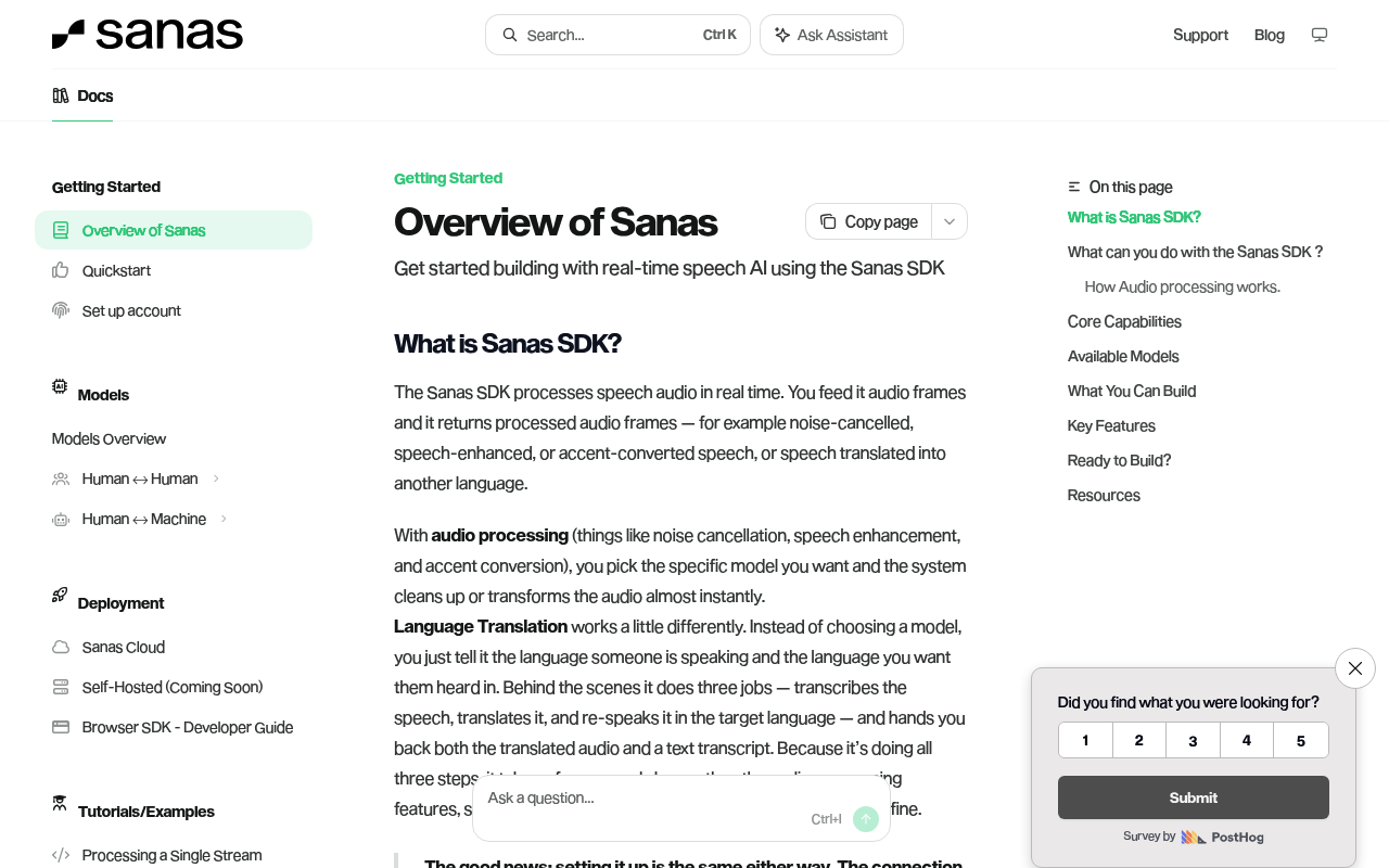 Sanas screenshot
