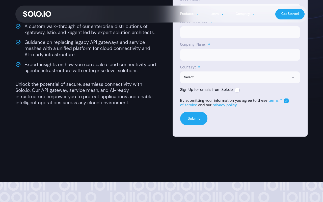 Solo.io website screenshot