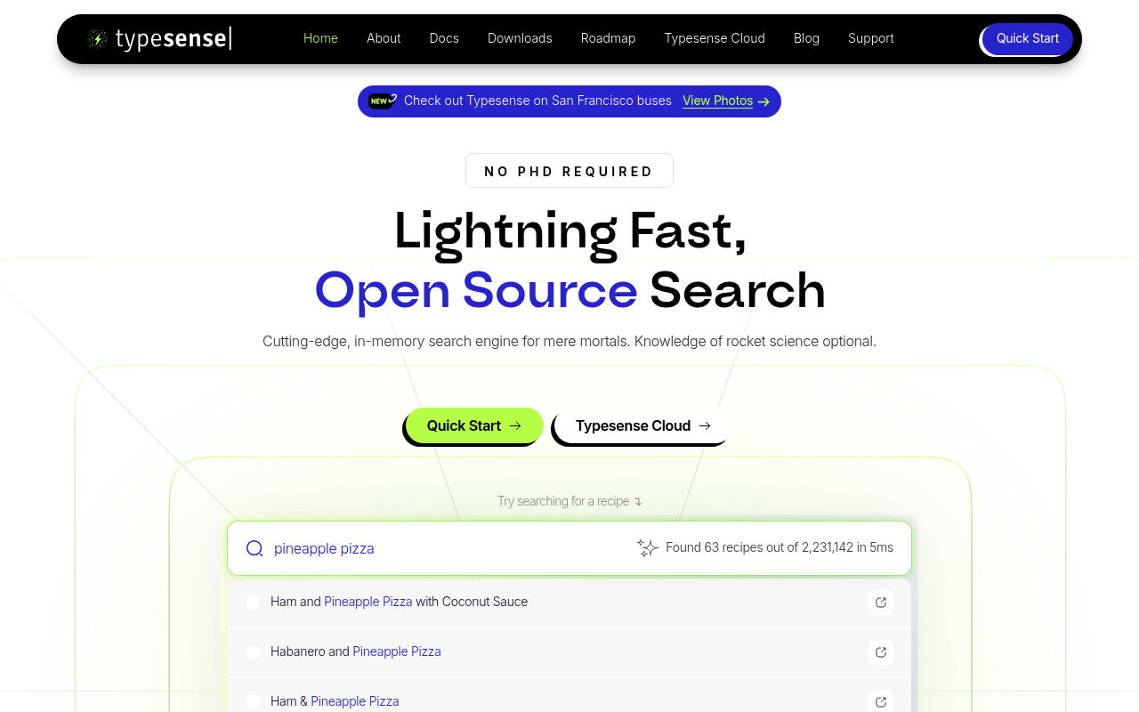 Typesense website screenshot