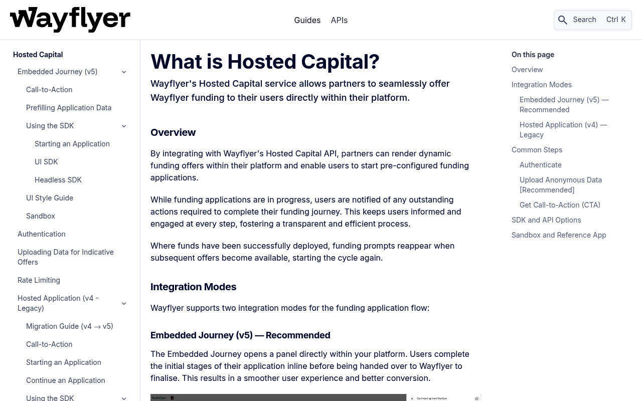 Wayflyer screenshot