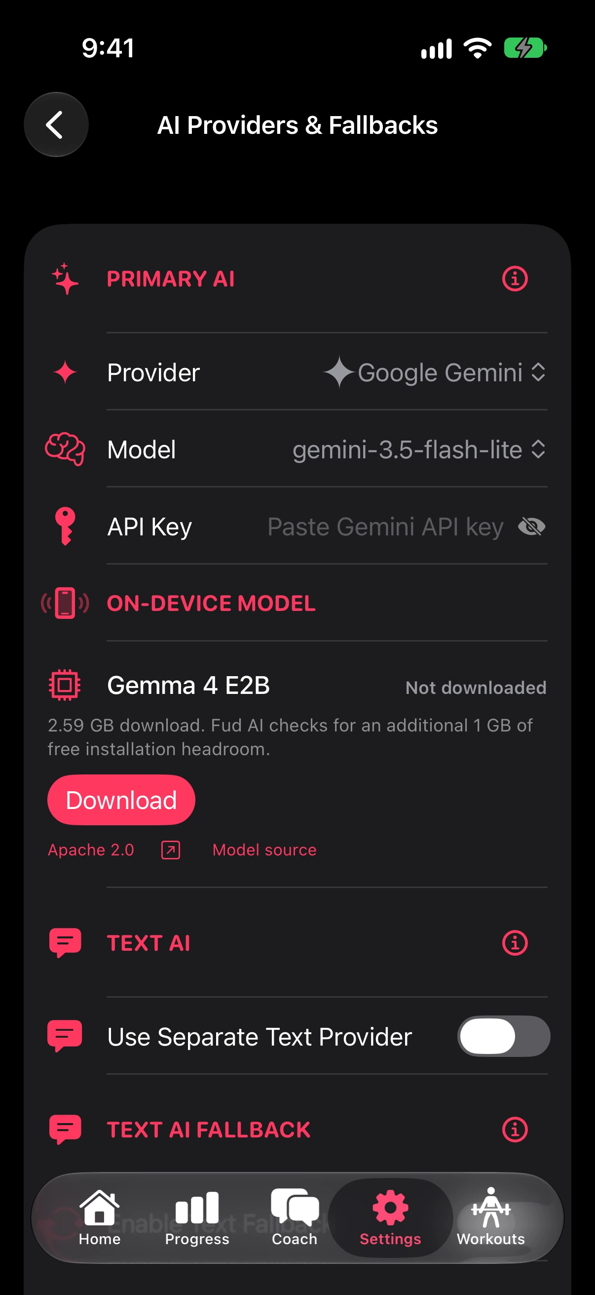 AI provider settings with Gemini and the on-device Gemma model