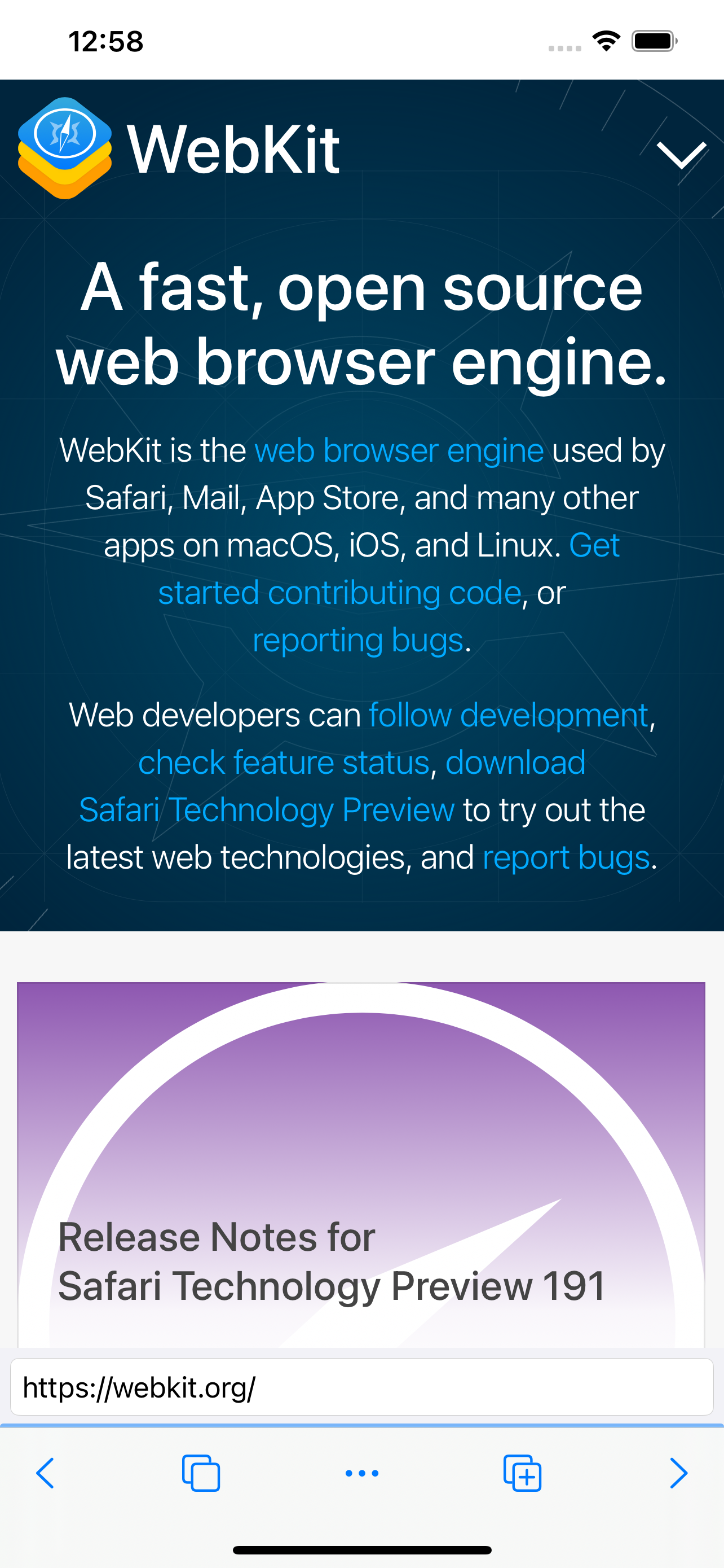 Net Skip screenshot 6 (en)