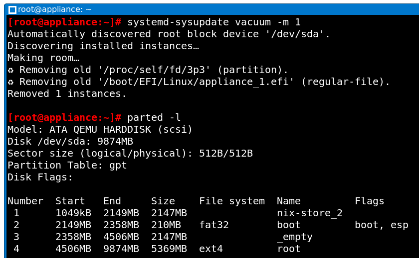 Removing the old system partition