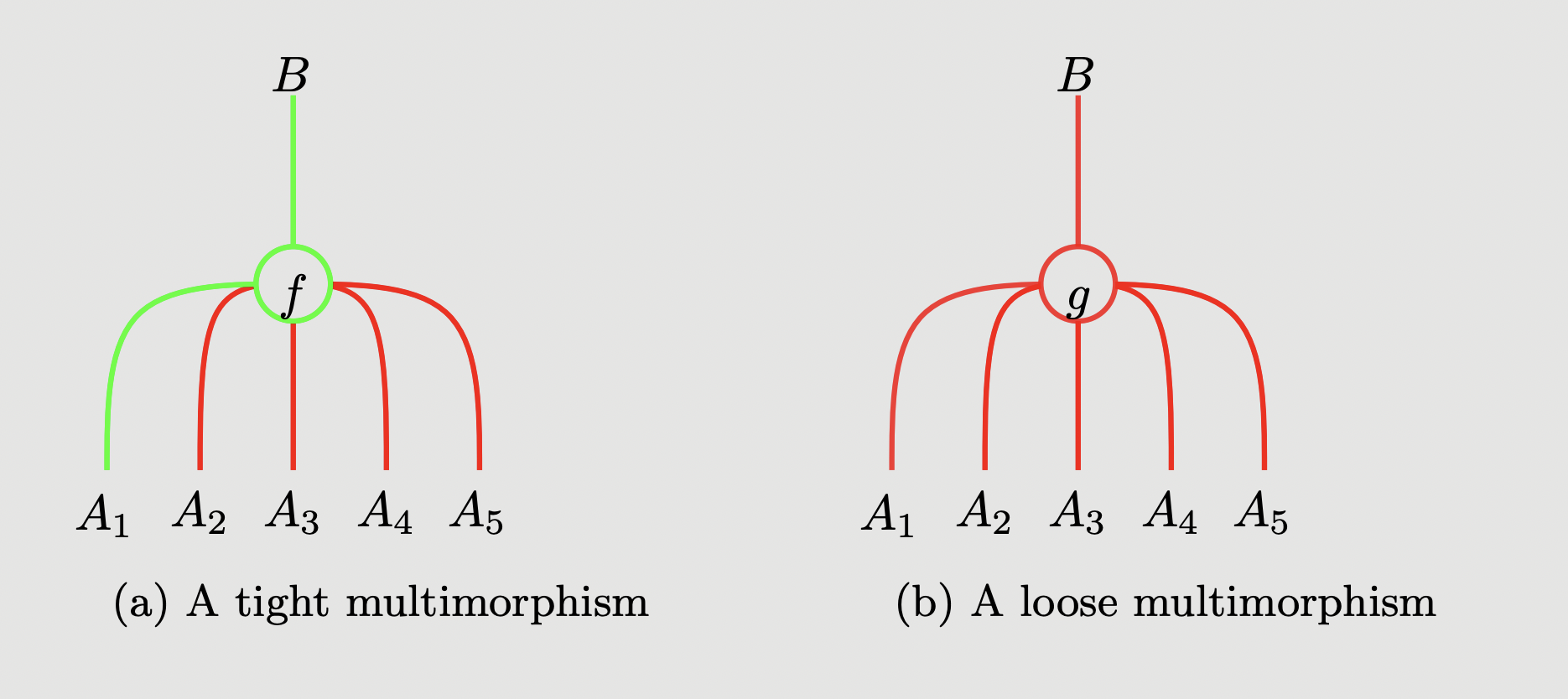 Graphical representation tight and loose multimorphisms