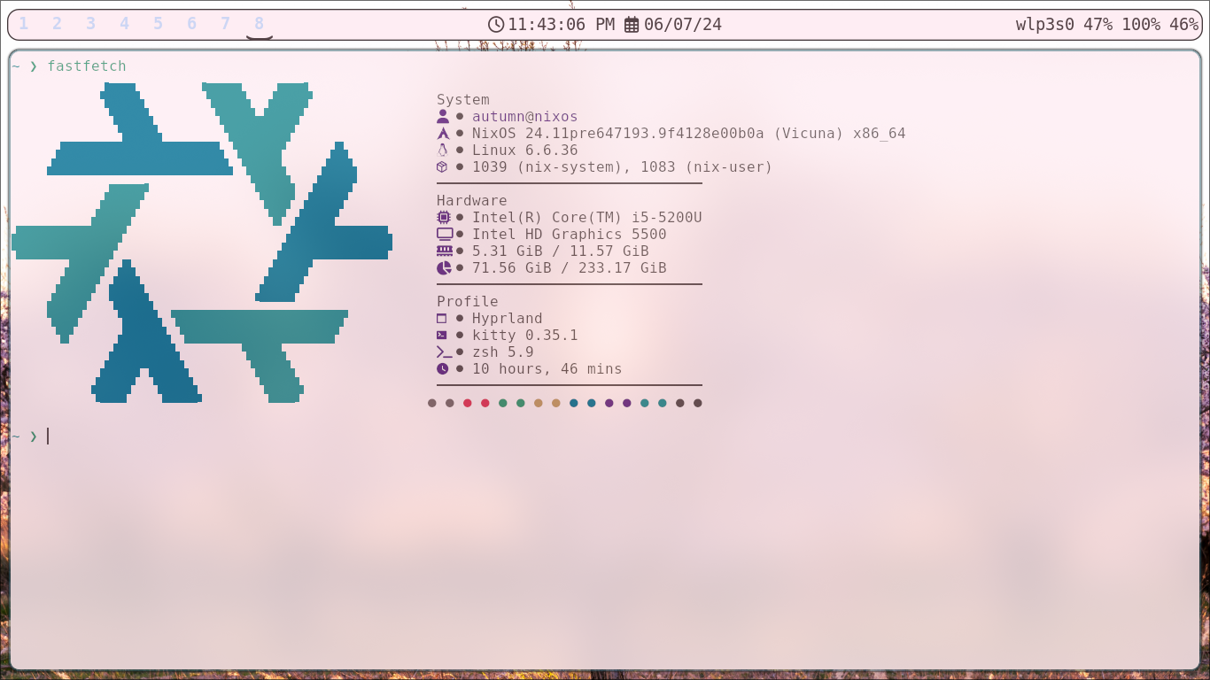 Computer with Sakura theme