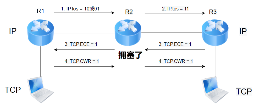 image-20240117214116136