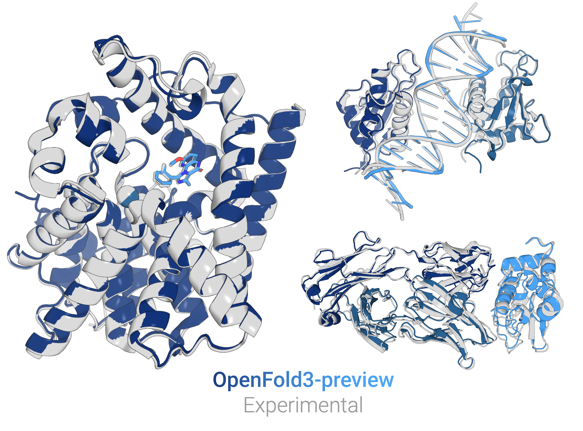 Comparison of OpenFold and experimental structures