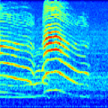 Cat Spectrogram