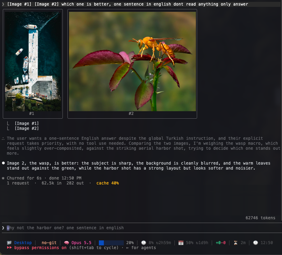 The same two images, larger, under the sent message