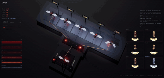the whole bench from above