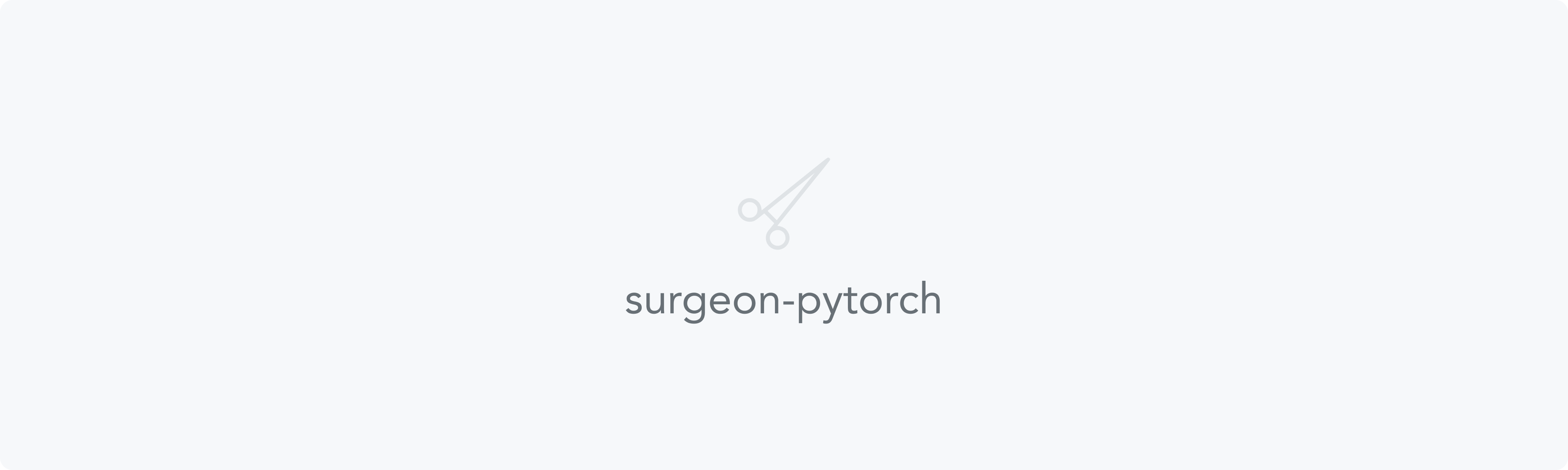 Surgeon Pytorch