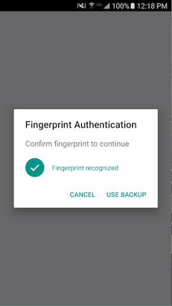 Fingerprint Auth Dialog Success